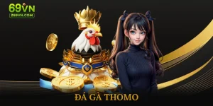 Đá gà thomo