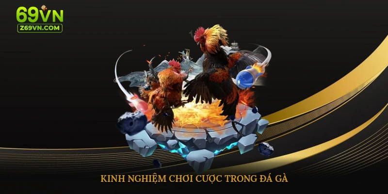 Kinh nghiệm chơi cược trong đá gà