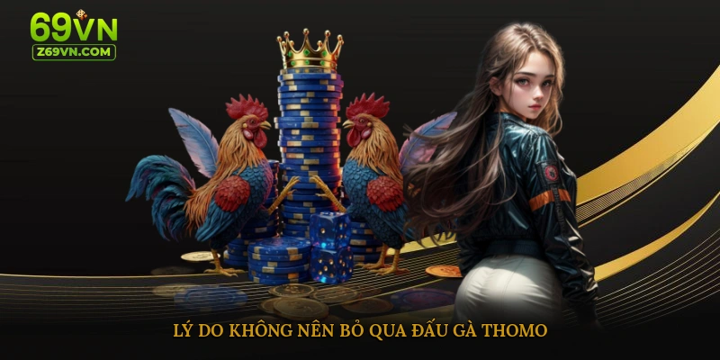 Lý do không nên bỏ qua đấu gà thomo