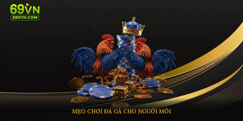 Mẹo chơi đá gà cho người mới