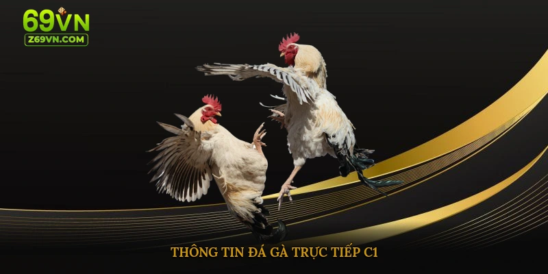 Thông tin đá gà trực tiếp C1
