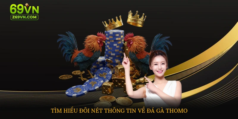 Tìm hiểu đôi nét thông tin về đá gà thomo